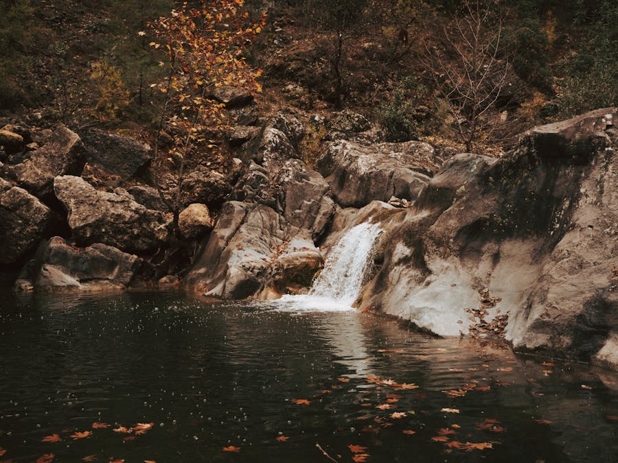 Can you fall in and out of ketosis?