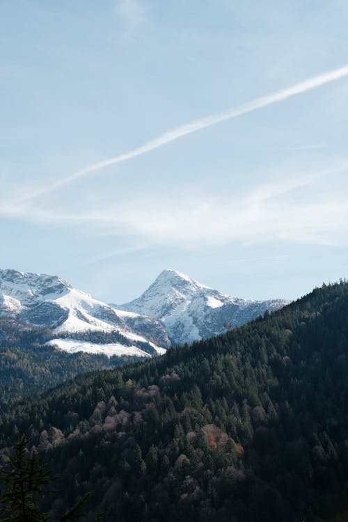 Woods and Mountains Drone Shot