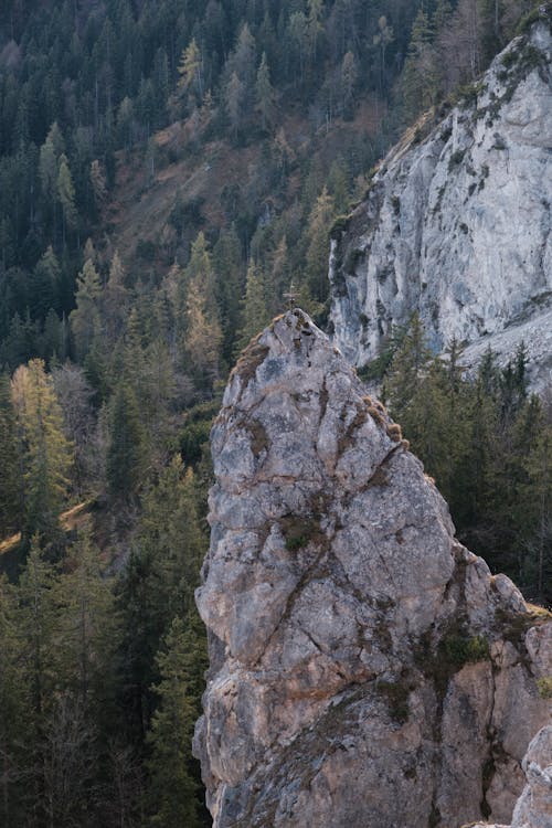 Gray Rocky Mountains near Green Trees