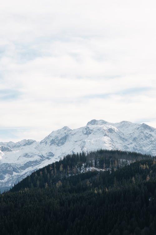 Immagine gratuita di fotografia aerea, freddo, inverno