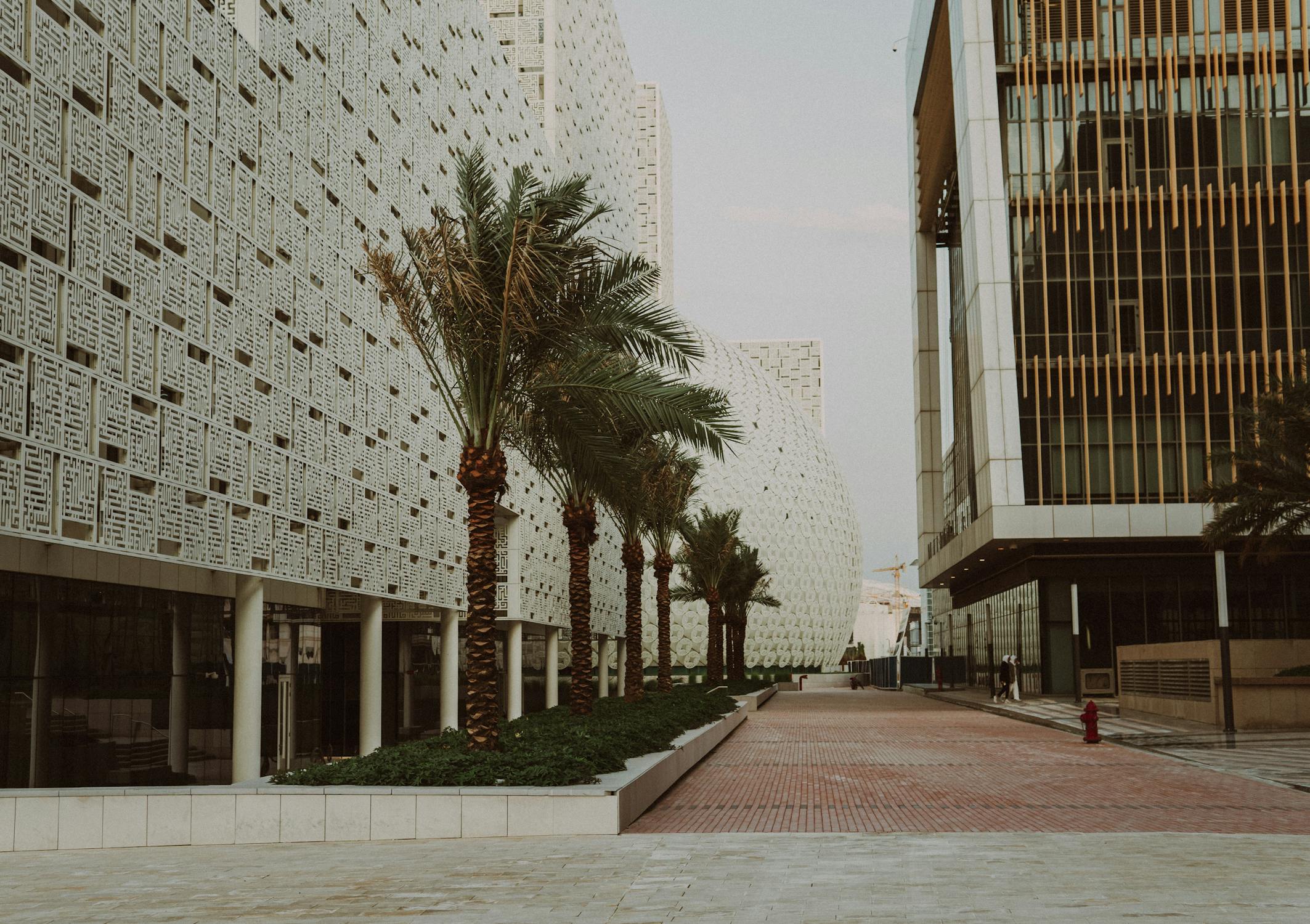 Palm Trees outside Building