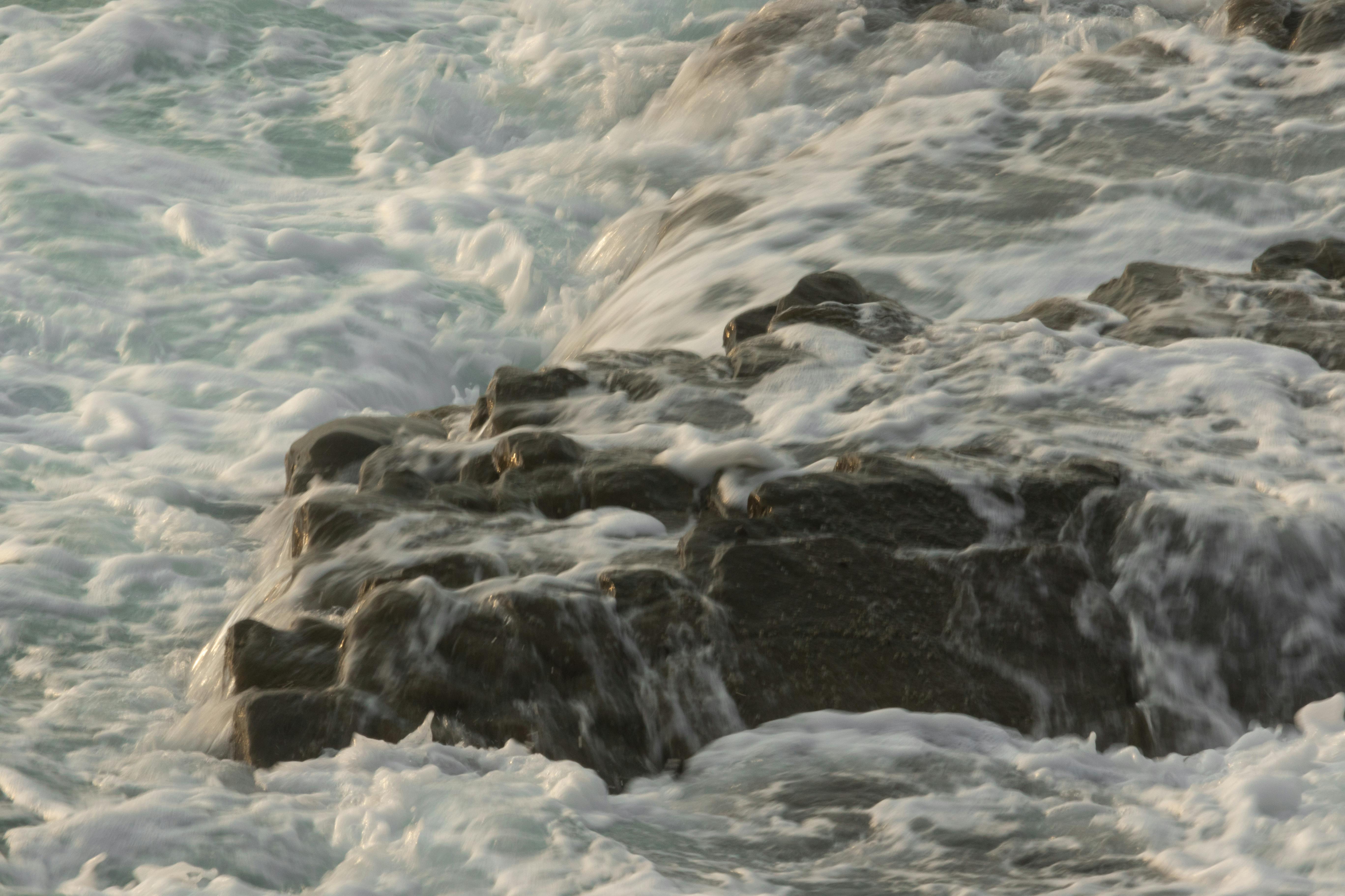 メトロポリタン美術館の内部