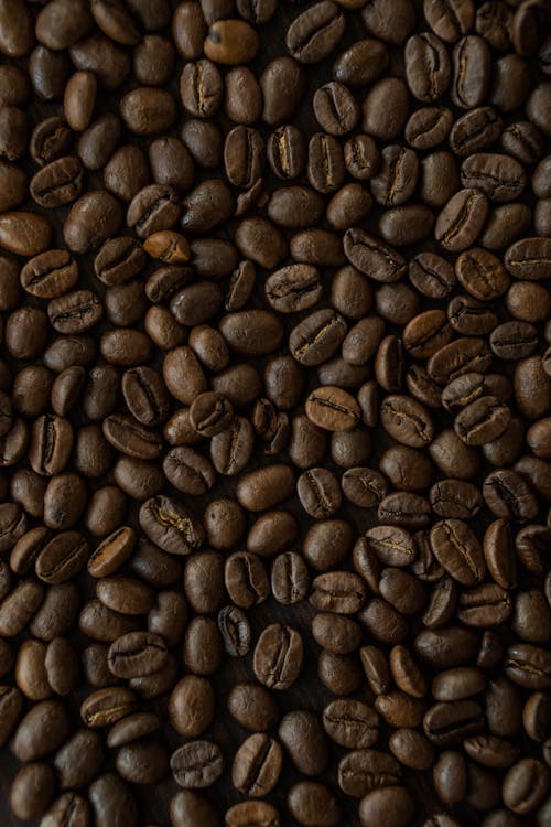 Close Shot of Coffee Beans