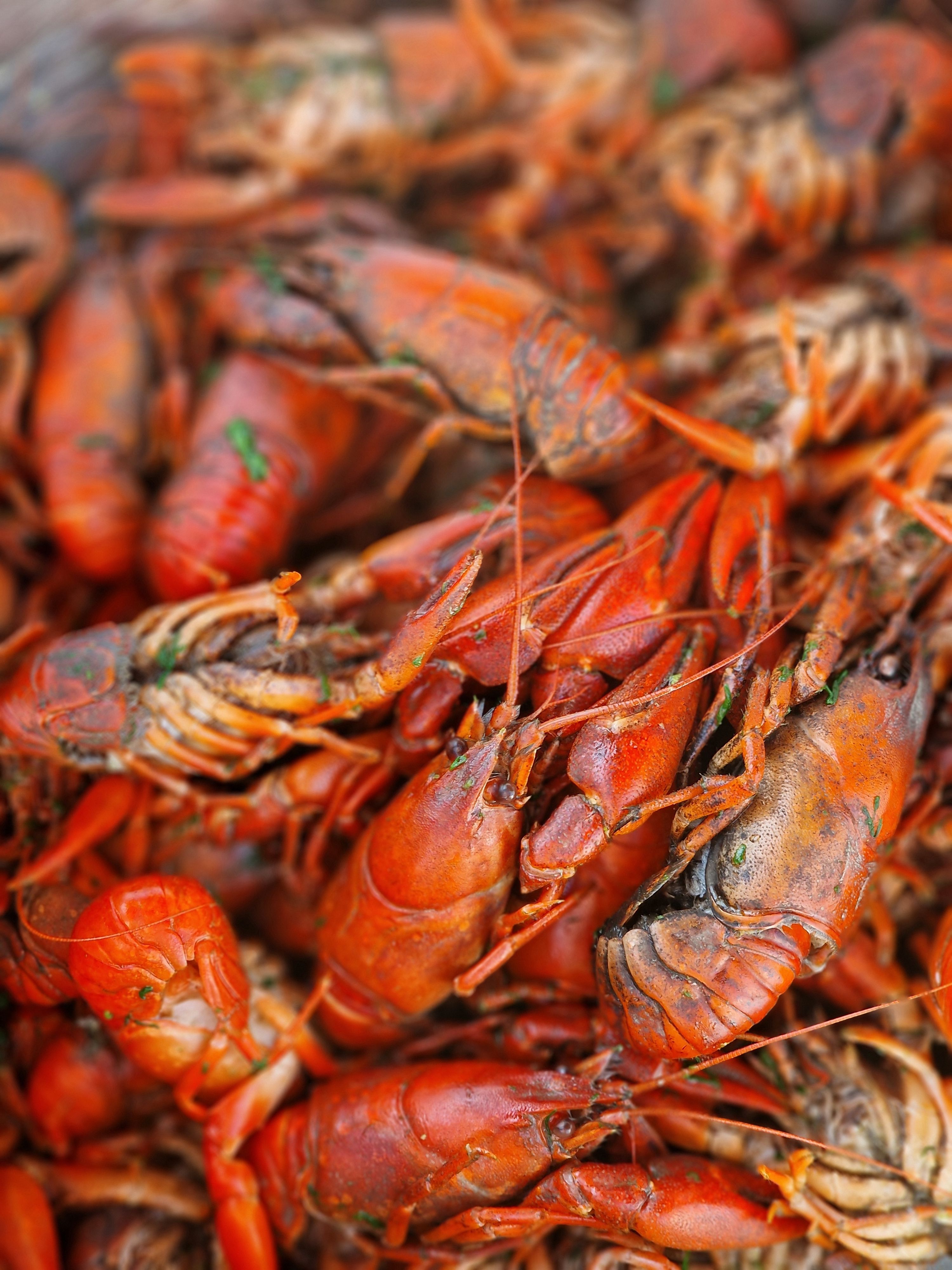 Host Https Www Allrecipes Com Recipe 222538 Louisiana Crawfish Bisque