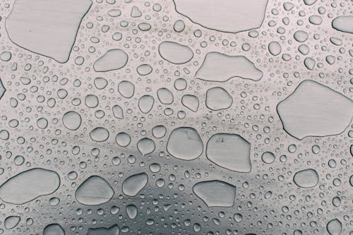 Free Water Droplets Stock Photo