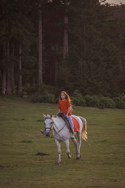 Girl riding white horse in serene forest meadow during daytime.