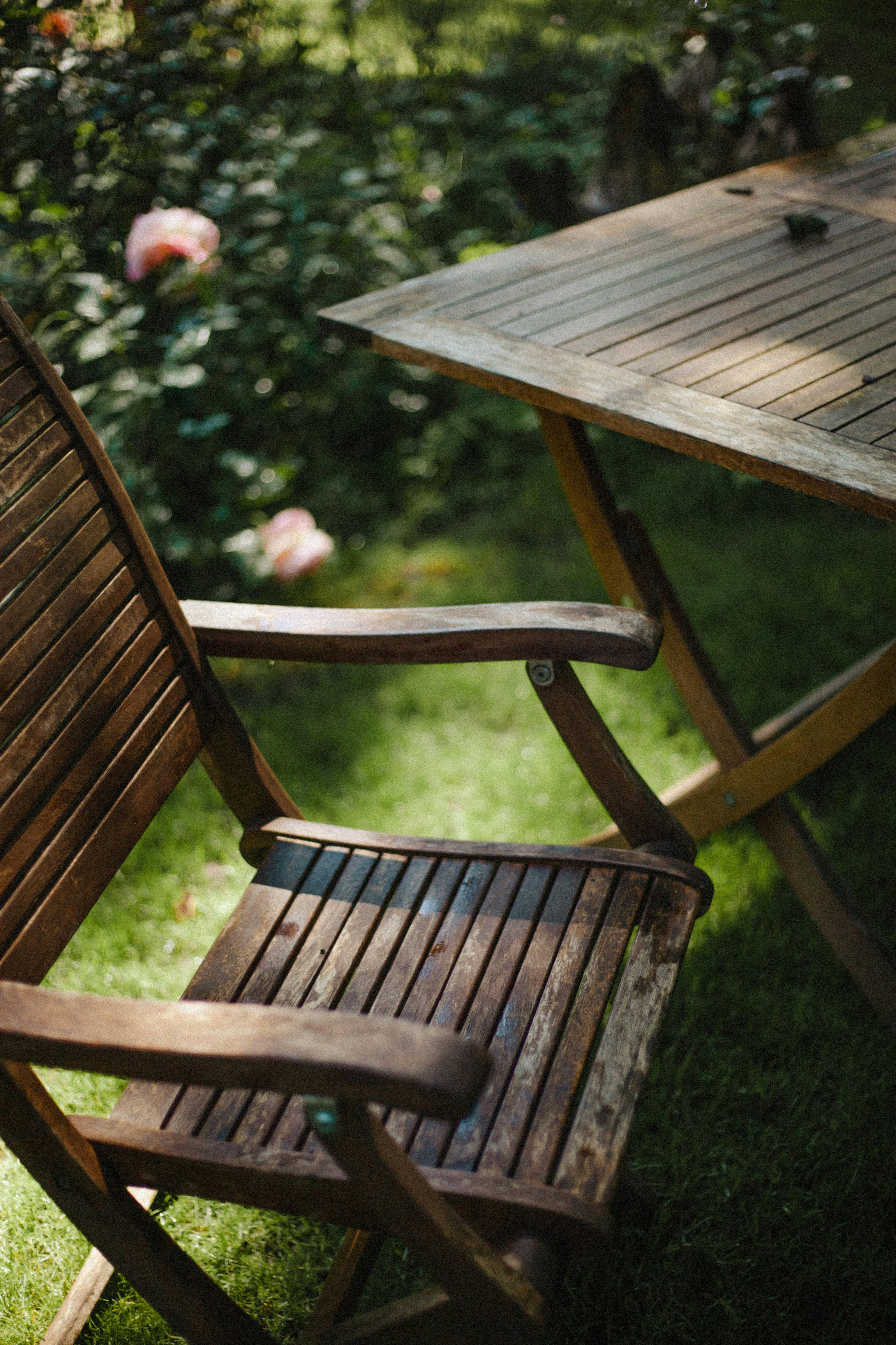 Garden Chair Photos, Download The BEST Free Garden Chair Stock Photos & HD  Images