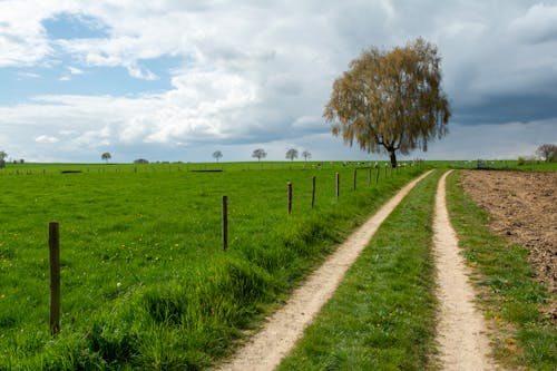 Dirt Road by Rural Field