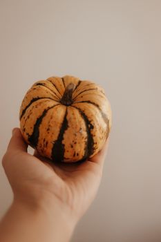 Hand holding an autumn pumpkin with a warm, earthy background.