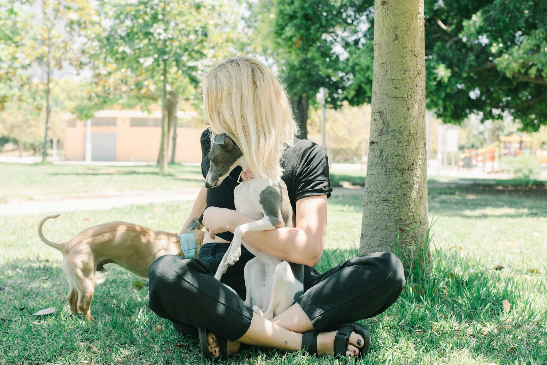 A Woman with Her Pet Dogs at the Park