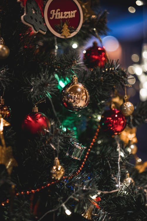 Foto profissional grátis de árvore de Natal, bokeh, brilhando