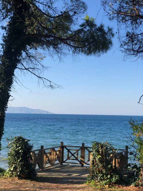 Free Enjoy a tranquil ocean view from a scenic deck surrounded by lush greenery. Stock Photo