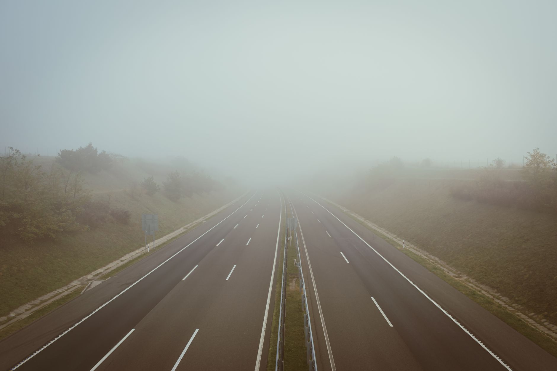 Hollanda'da yoğun sis altında bir yol