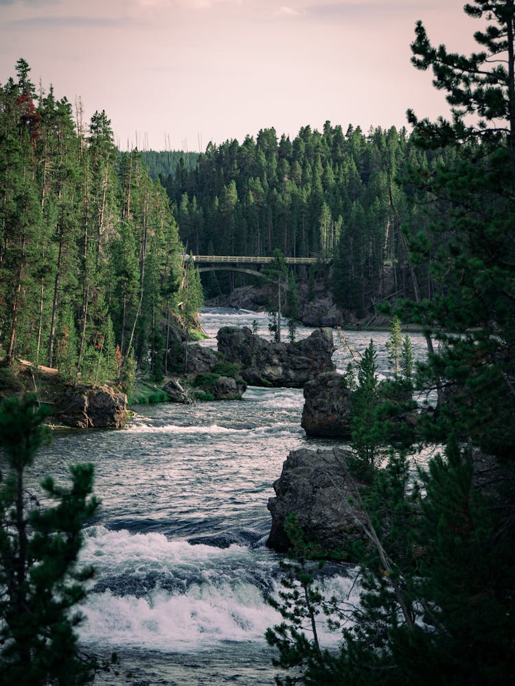 Scenery Of A Flowing River