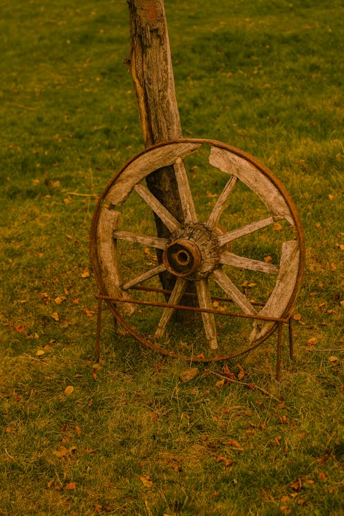 Photo of an Antique Cartwheel in a Meadow