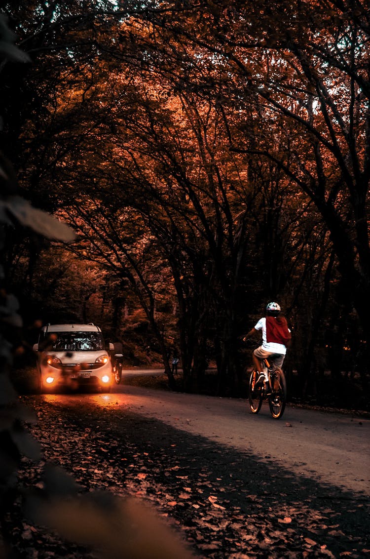 A Person Riding A Bicycle On The Road