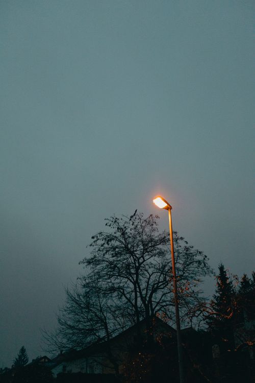 Free A silhouetted streetlamp illuminates a moody, overcast sky with bare trees. Stock Photo