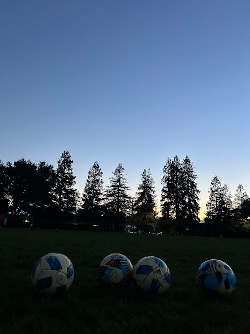 Foto profissional grátis de América, árvores de outono, cair da noite