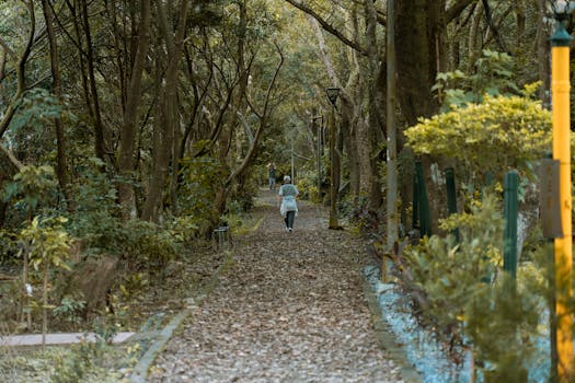 Serene forest path with a person walking, surrounded by lush trees, promoting a peaceful escape.