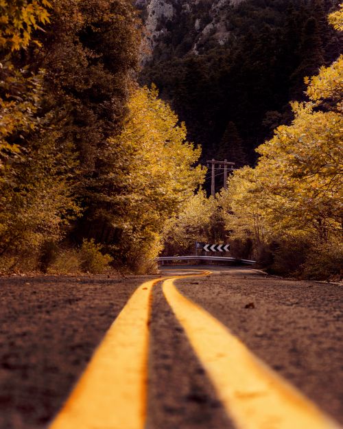 Free A picturesque road winding through a vibrant autumn forest. Highlighting fall colors and natural beauty. Stock Photo
