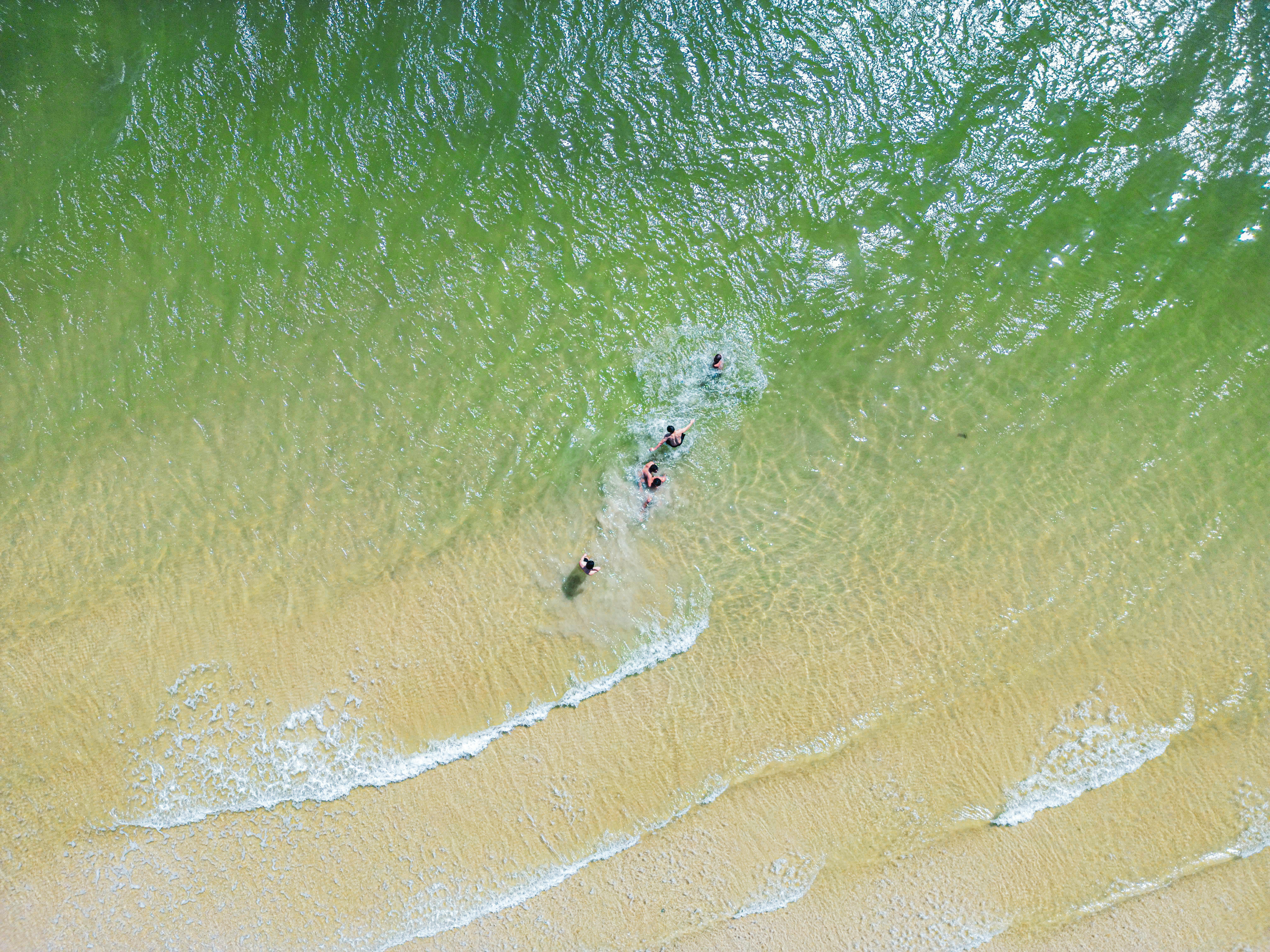 Who is the most published person?