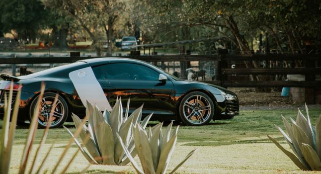 A sleek black sports car, likely an Audi R8, parked in a picturesque rural farm setting.