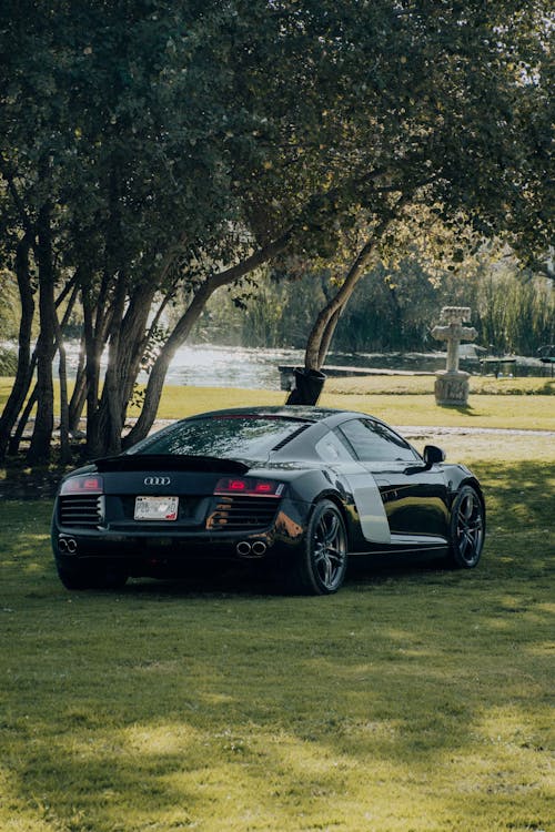 A Parked Audi R8 on the Grass