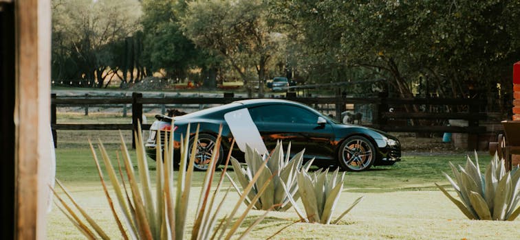 A sleek black sports car elegantly parked in a scenic rural landscape with lush greenery.