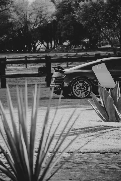 Black and White Photo of a Sports Car Parked in Green Grass