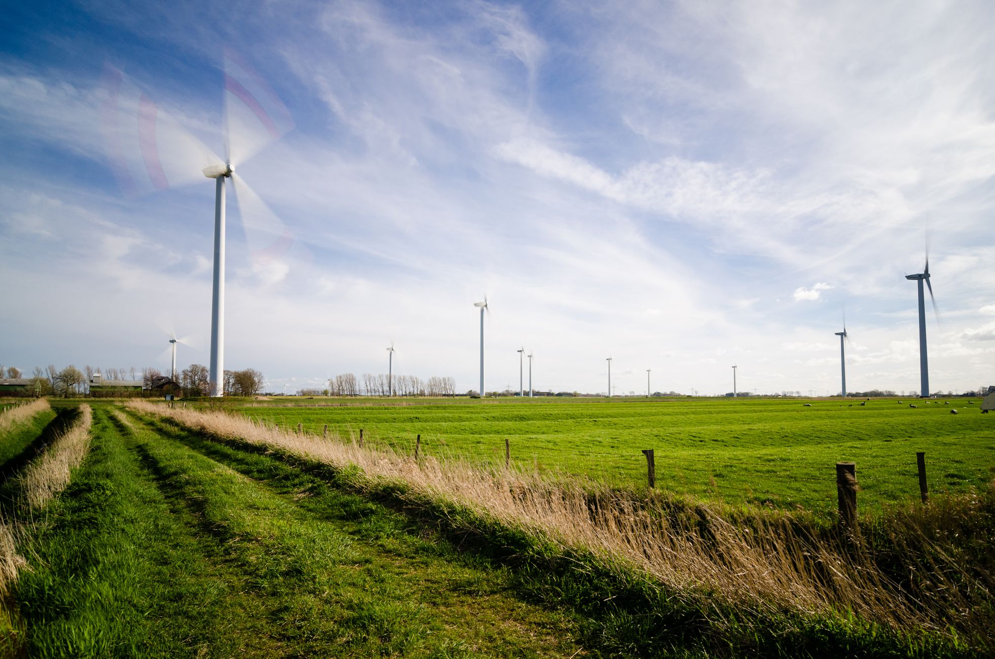 Molenaars slaan alarm over onopgelost windenergieprobleem