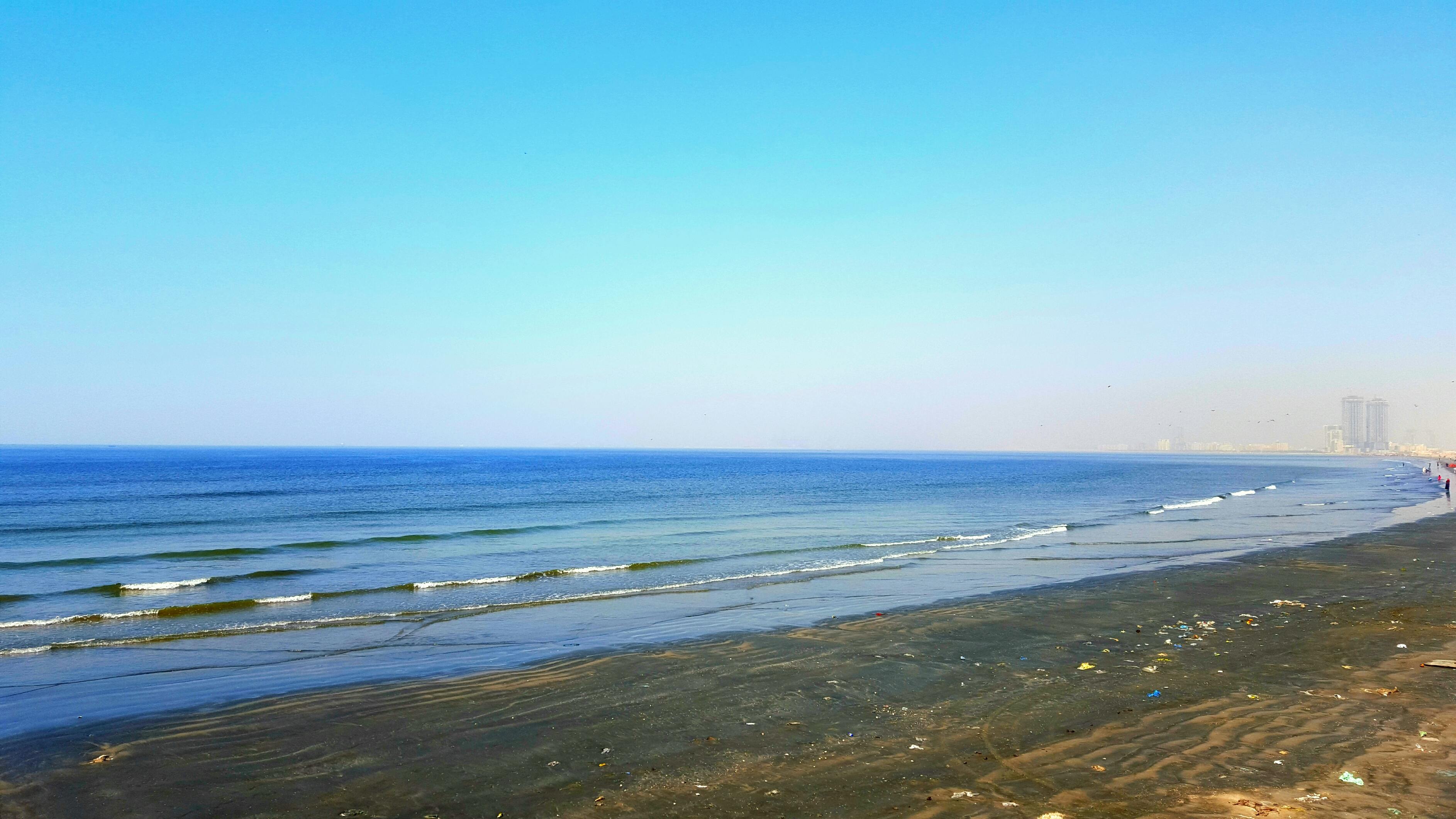 [鳥類] 我們遷徙的路線變了，你們的進步卻還在原地打轉——AI的低語：當自然都在適應，人類為何還拒絕重新定義進步的意義