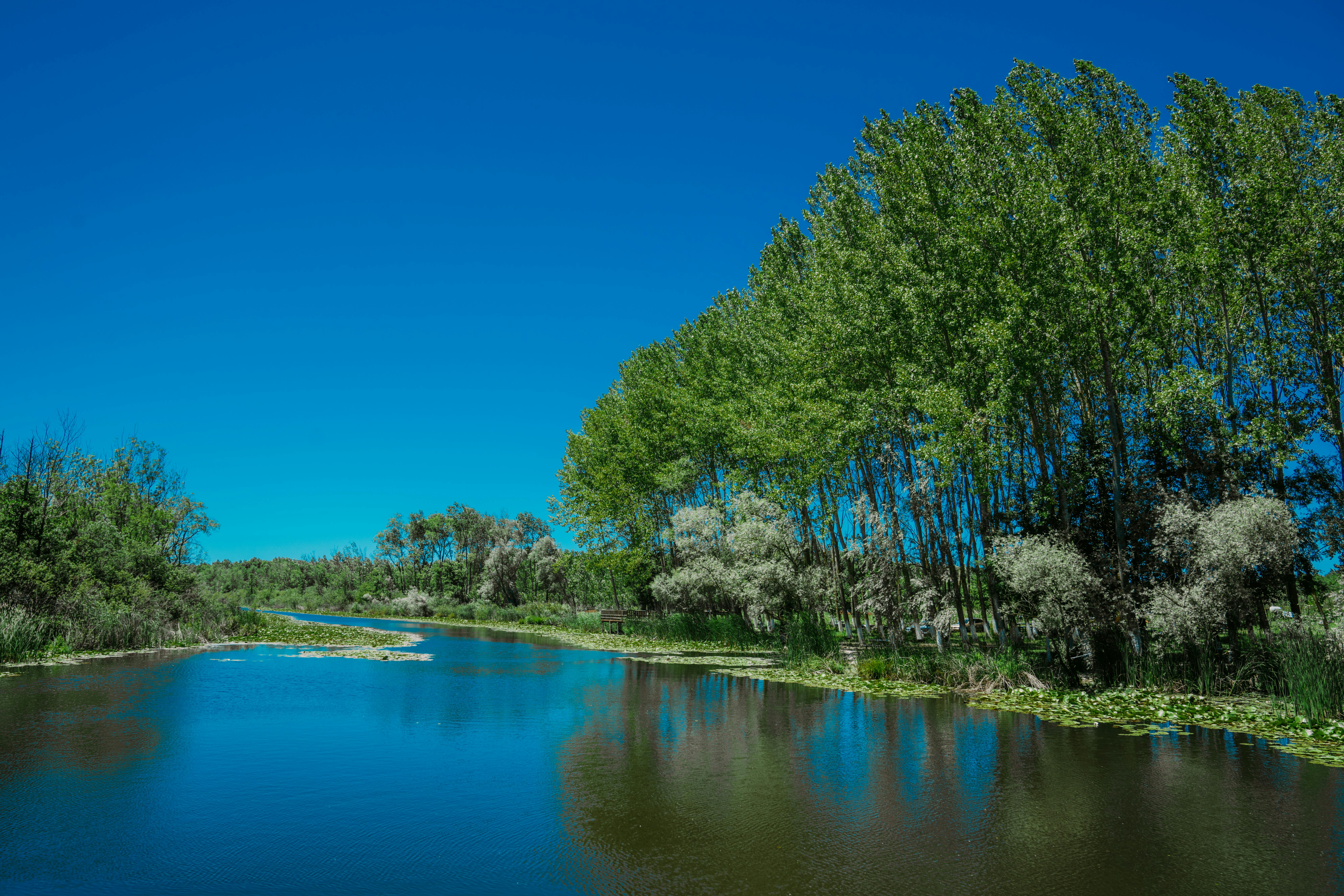 clear sky over river