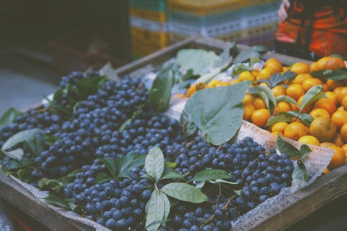 Kostnadsfri bild av basar, blåbär, färsk