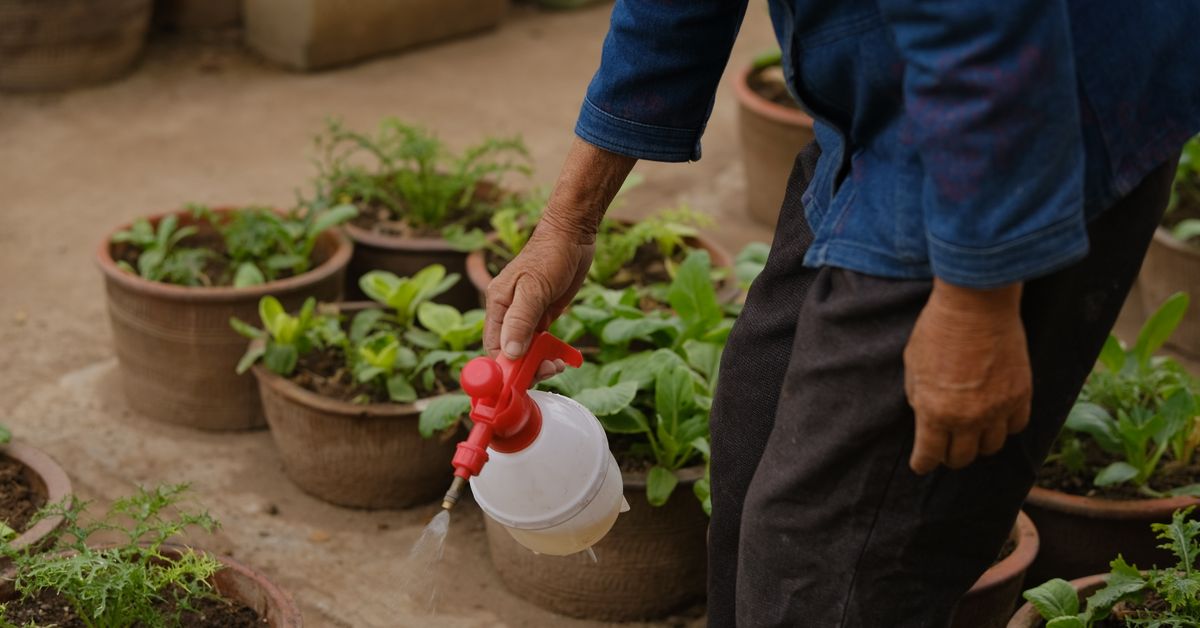 Cuidando de plantas em vasos Jardineiro cuidando de plantas em vasos ao ar livre com borrifador
