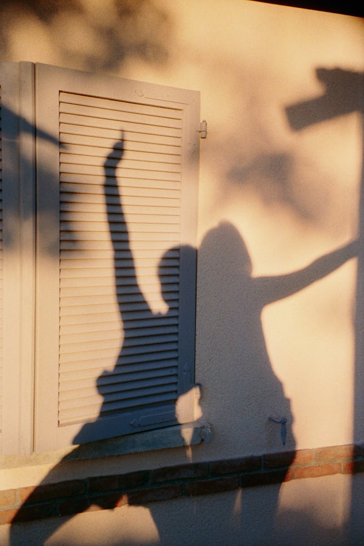 People Shadow On Wall And Door