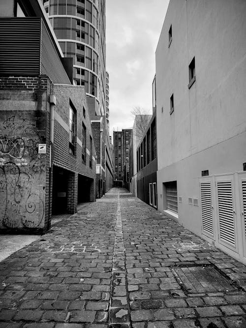 Free stock photo of alleyway, black and white, city
