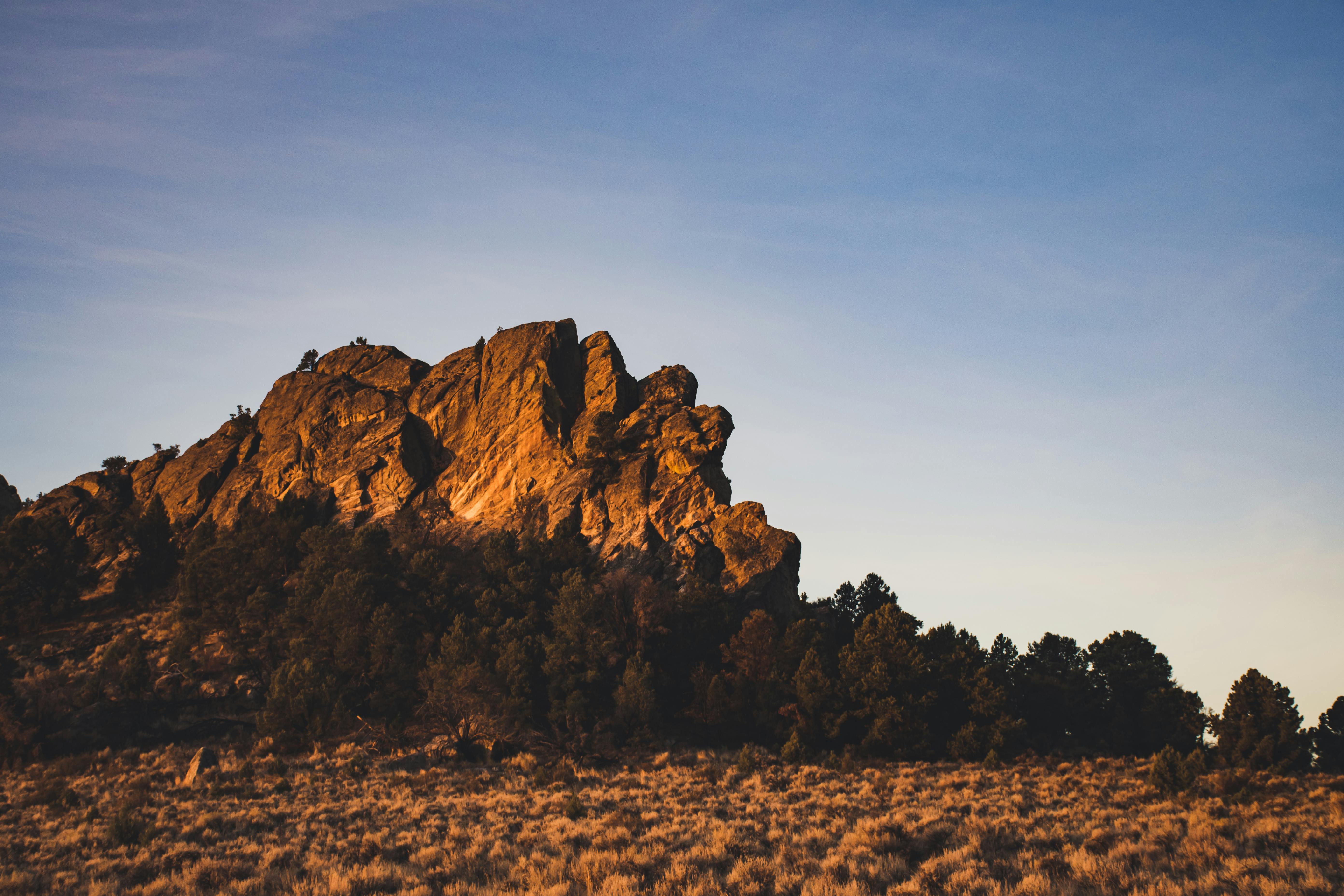 日落时分，落基山脉与周围森林的景色令人惊叹，捕捉到了大自然的美丽