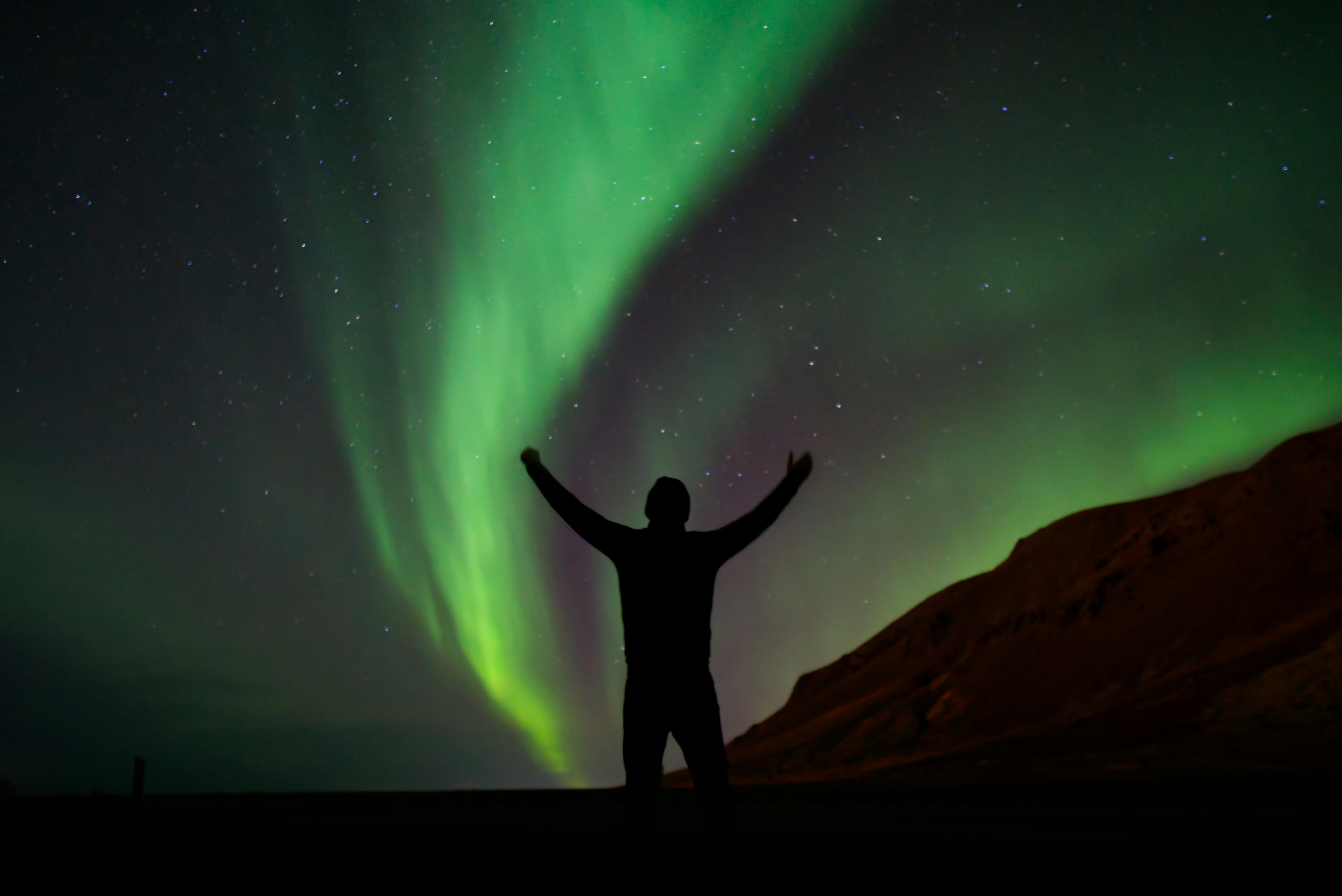 Pine Trees Under Aurora Borealis · Free Stock Photo