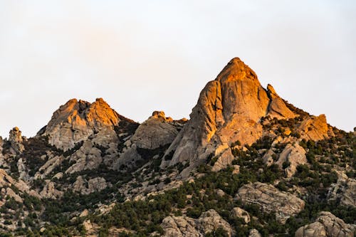Photo of Rocky Mountain