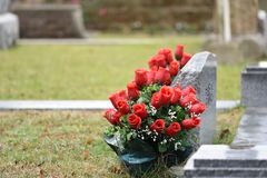 Beautiful red roses placed on a tombstone, symbolizing love and remembrance in a cemetery setting.