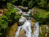 自然环境中，美丽的森林溪流、瀑布与郁郁葱葱的绿色植物相映成趣