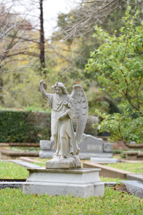 Free Elegant angel statue in a peaceful cemetery amidst greenery and gravestones. Stock Photo