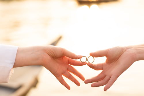 Close-Up Photo of People Holding a Rings