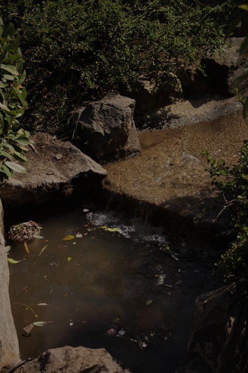 Free A tranquil pond surrounded by rocks and lush greenery, ideal for relaxation and nature enthusiasts. Stock Photo