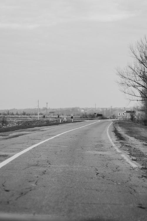 Monochrome Photo of a Road