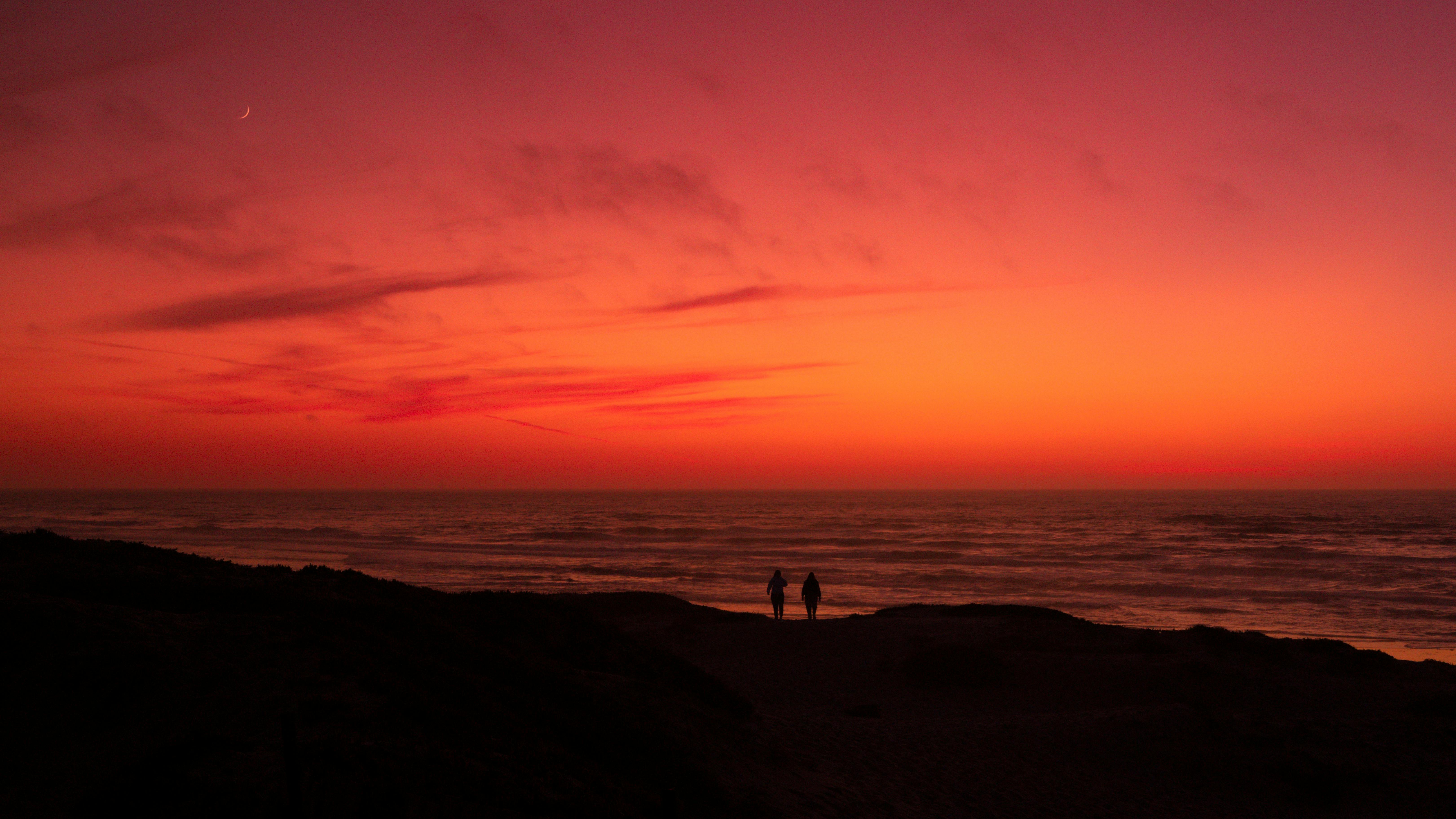 Silhouette of Couple on the Shore · Free Stock Photo