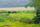 pasture