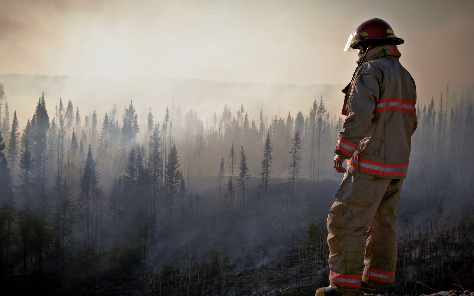 A firefighter surveys the aftermath of a forest fire with smoke rising through the trees