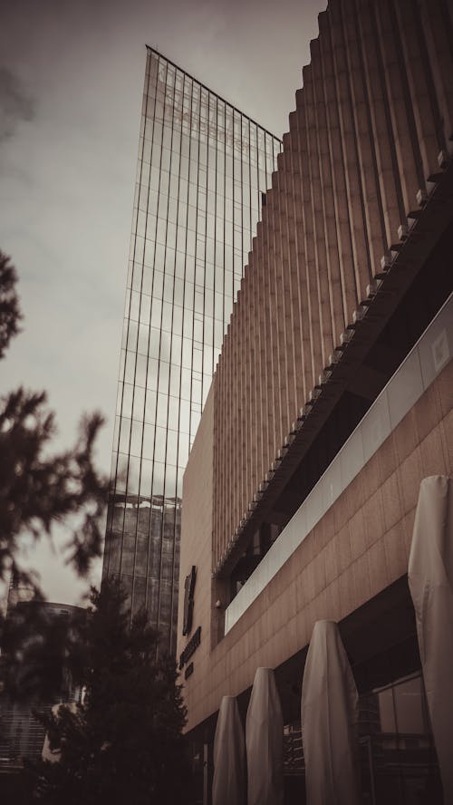 Low Angle Shot of a Modern Building in City 