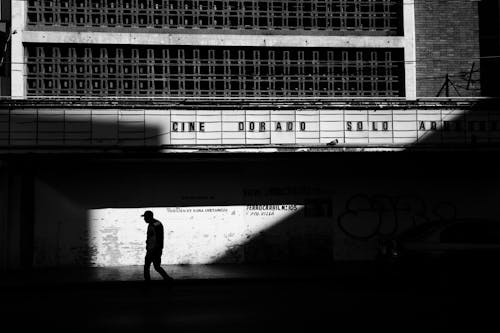 Immagine gratuita di bianco e nero, camminando, cittadina